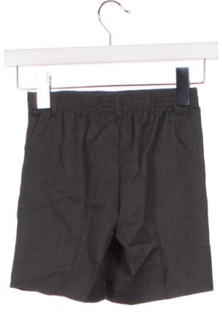 Παιδικό κοντό παντελόνι George, Μέγεθος 4-5y/ 110-116 εκ., Χρώμα Γκρί, Τιμή 4,64 €