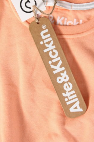 Damen Shirt Alife And Kickin, Größe L, Farbe Orange, Preis € 9,49