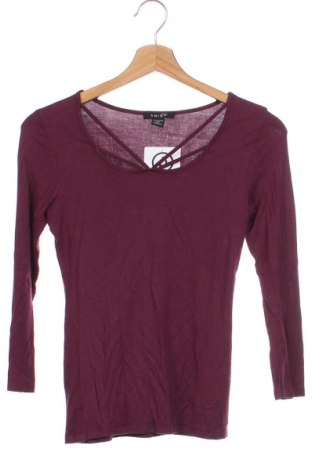 Damen Shirt Amisu, Größe XS, Farbe Lila, Preis € 5,12