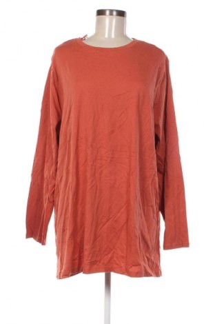 Damen Shirt Anko, Größe 3XL, Farbe Rot, Preis 8,99 €