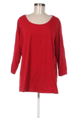 Damen Shirt Autograph, Größe XXL, Farbe Rot, Preis € 13,49