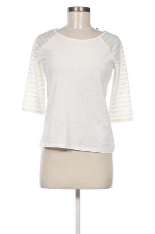 Damen Shirt Dorothy Perkins, Größe S, Farbe Weiß, Preis 4,99 €