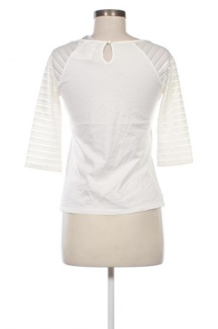 Damen Shirt Dorothy Perkins, Größe S, Farbe Weiß, Preis € 3,99