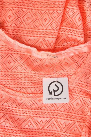 Damen Shirt Esmara, Größe XL, Farbe Orange, Preis € 5,01