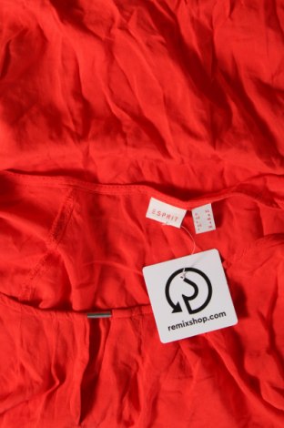 Damen Shirt Esprit, Größe XS, Farbe Rot, Preis € 3,99