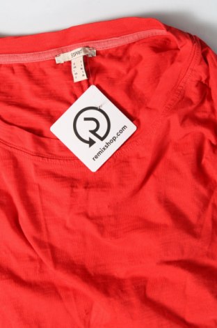 Damen Shirt Esprit, Größe L, Farbe Rot, Preis € 24,87