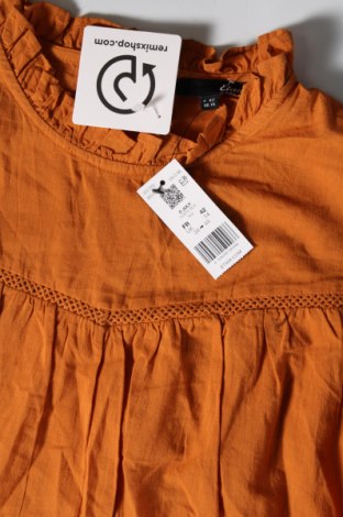 Damen Shirt Etam, Größe L, Farbe Orange, Preis € 39,99