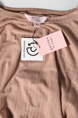 Damen Shirt Miss Selfridge, Größe XS, Farbe Beige, Preis 7,99 €