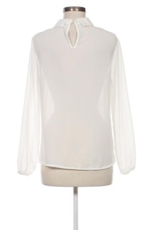 Damen Shirt Terra di Siena, Größe L, Farbe Weiß, Preis € 23,99