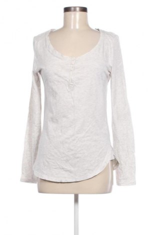 Damen Shirt Terranova, Größe L, Farbe Grau, Preis € 5,99