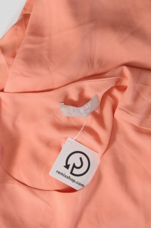 Damen Shirt Thomas Rath, Größe XL, Farbe Rosa, Preis € 15,99