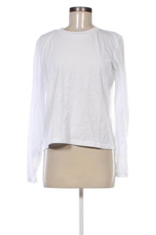 Damen Shirt Zara, Größe L, Farbe Weiß, Preis € 6,99