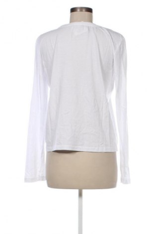 Damen Shirt Zara, Größe L, Farbe Weiß, Preis € 6,99