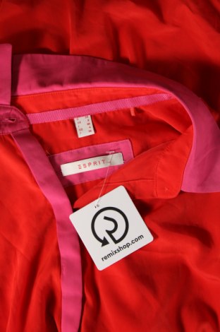 Damenbluse Esprit, Größe XS, Farbe Ecru, Preis € 4,99