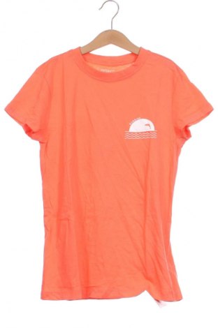 Damen T-Shirt Primark, Größe XXS, Farbe Orange, Preis 1,99 €