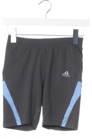 Damen Shorts Adidas, Größe XS, Farbe Grau, Preis 8,99 €