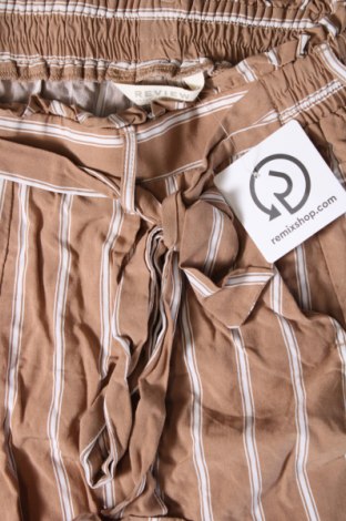 Damen Shorts Review, Größe S, Farbe Beige, Preis € 6,99