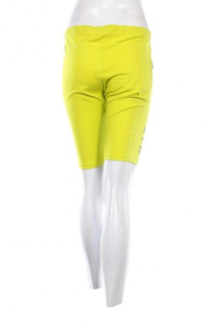 Damen Leggings HALO, Größe XL, Farbe Grün, Preis € 20,99