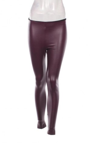 Damen Lederhose Tezenis, Größe S, Farbe Lila, Preis 7,49 €