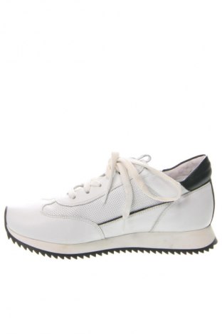 Damenschuhe Anna Cori, Größe 36, Farbe Weiß, Preis 34,69 €