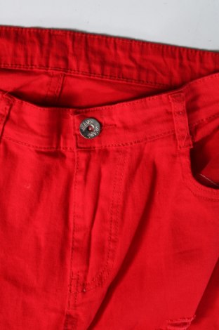 Damenhose, Größe L, Farbe Rot, Preis 6,99 €