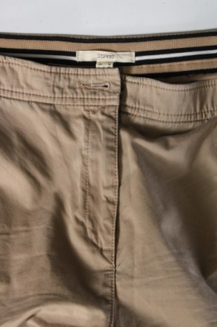 Damenhose Esprit, Größe M, Farbe Beige, Preis € 13,99