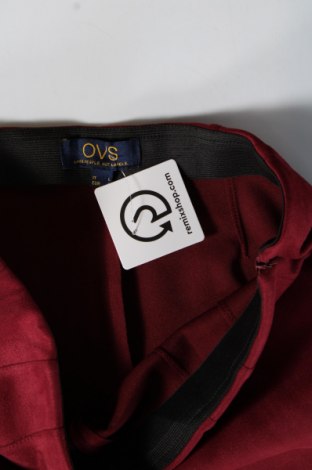 Damenhose Oviesse, Größe L, Farbe Rot, Preis € 7,99