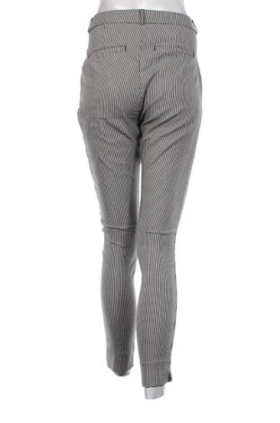 Damenhose Piazza Italia, Größe XL, Farbe Mehrfarbig, Preis € 7,99