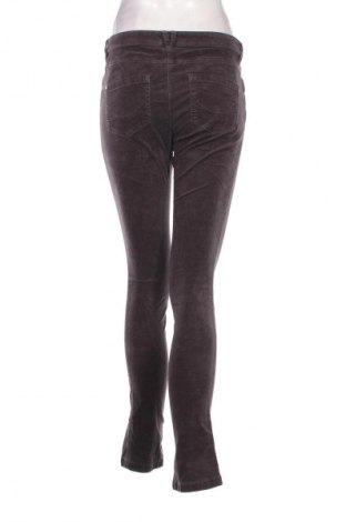 Damenhose Tom Tailor, Größe M, Farbe Grau, Preis € 6,99