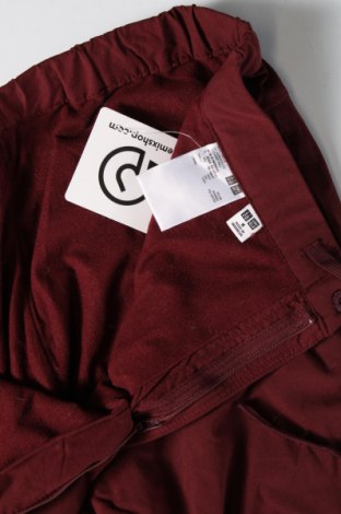 Damenhose Uniqlo, Größe M, Farbe Rot, Preis 12,99 €