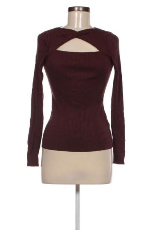 Damenpullover Kocca, Größe S, Farbe Braun, Preis 19,99 €