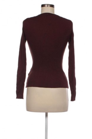 Damenpullover Kocca, Größe S, Farbe Braun, Preis 19,99 €