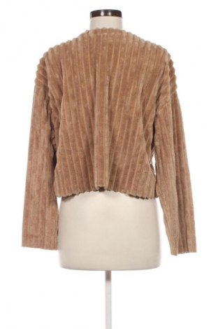 Damenpullover Zara Trafaluc, Größe M, Farbe Beige, Preis € 8,79