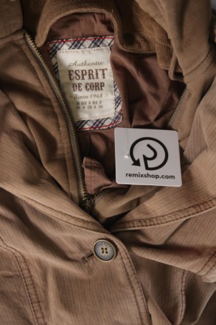 Damenjacke Esprit, Größe XS, Farbe Beige, Preis € 22,00