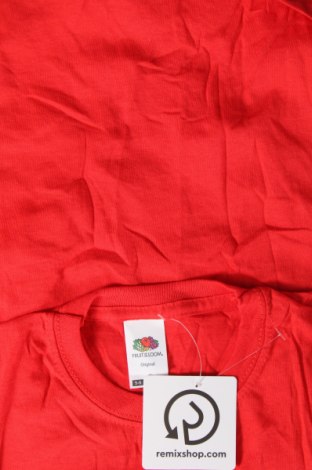 Kinder T-Shirt Fruit Of The Loom, Größe y, Farbe Mehrfarbig, Preis € 6,99