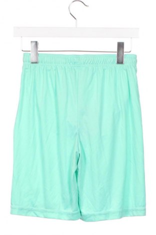 Pantaloni scurți pentru copii, Mărime 12-13y/ 158-164 cm, Culoare Verde, Preț 20,49 Lei