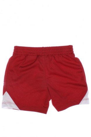 Kinder Shorts Under Armour, Größe 12-18m/ 80-86 cm, Farbe Rot, Preis 6,99 €