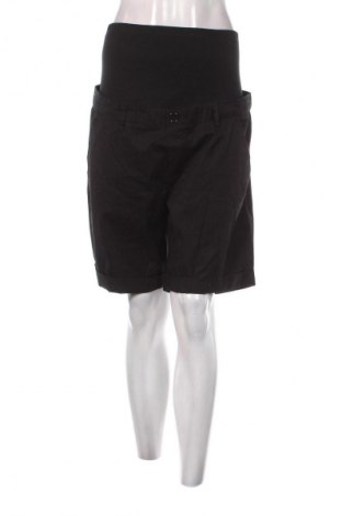 Shorts für Schwangere, Größe L, Farbe Schwarz, Preis € 8,99