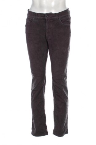 Herren Cordhose Brax, Größe M, Farbe Grau, Preis 8,49 €