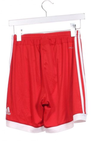 Pantaloni scurți de bărbați Adidas, Mărime S, Culoare Roșu, Preț 56,99 Lei