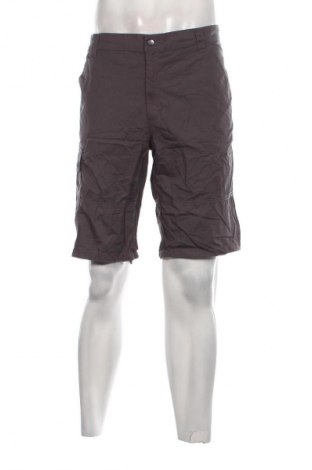 Herren Shorts Crane, Größe L, Farbe Grau, Preis 8,99 €