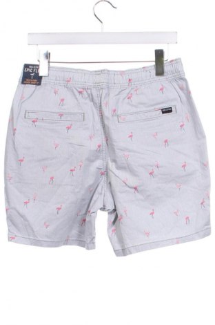 Herren Shorts Hollister, Größe S, Farbe Blau, Preis € 9,99