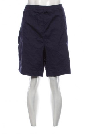 Herren Shorts Sheego, Größe XL, Farbe Blau, Preis 8,99 €