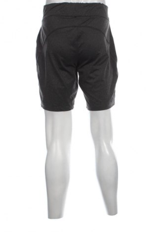 Herren Shorts Sports, Größe XL, Farbe Grau, Preis 9,99 €