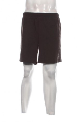 Herren Shorts TCM, Größe L, Farbe Grau, Preis 4,99 €