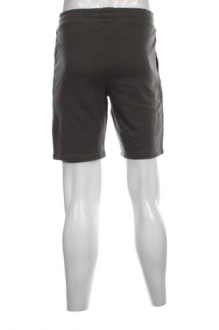 Herren Shorts Viral Vibes, Größe M, Farbe Grün, Preis 16,29 €