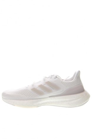 Herrenschuhe Adidas, Größe 44, Farbe Weiß, Preis 62,99 €