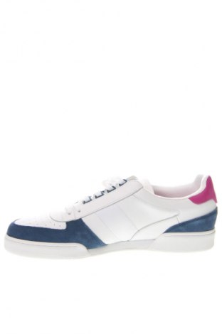 Herrenschuhe Polo By Ralph Lauren, Größe 50, Farbe Mehrfarbig, Preis 29,49 €