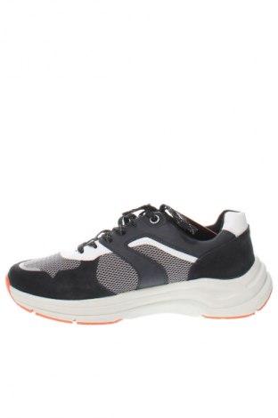 Herrenschuhe S.Oliver, Größe 42, Farbe Mehrfarbig, Preis 46,99 €