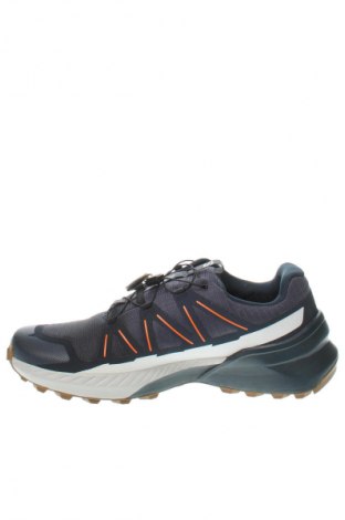 Herrenschuhe Salomon, Größe 45, Farbe Blau, Preis 103,99 €